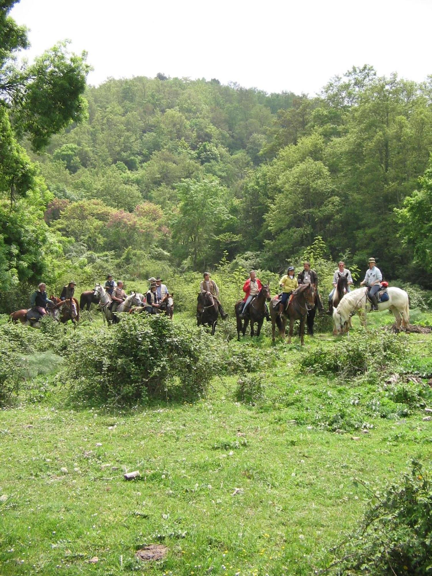 Agriturismo Casale Bonaparte Cellere Exteriér fotografie