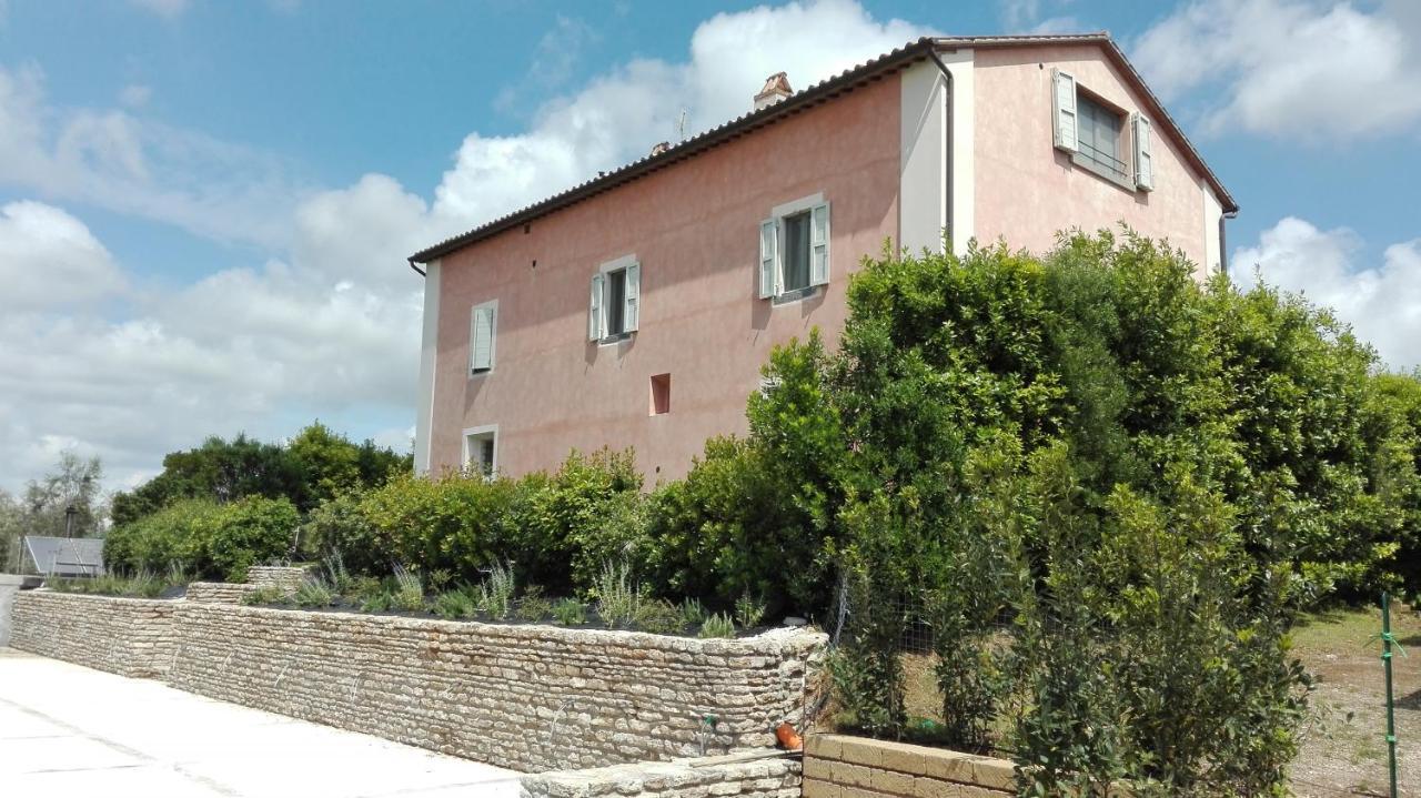 Agriturismo Casale Bonaparte Cellere Exteriér fotografie