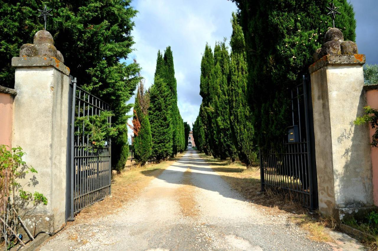 Agriturismo Casale Bonaparte Cellere Exteriér fotografie